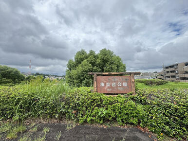 梅森台公園