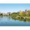 公園