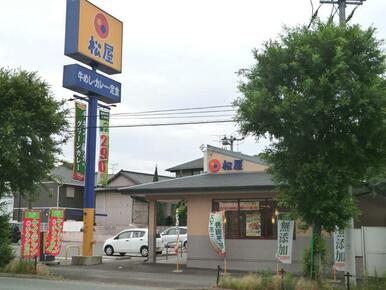 松屋穴生店