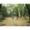 公園
