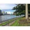 公園