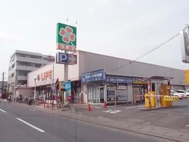 ライフ高津新作店