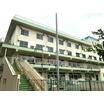 幼稚園、保育園