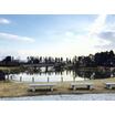 公園