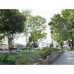 公園