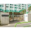 幼稚園、保育園