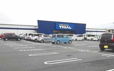 トライアル