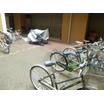 共有部分