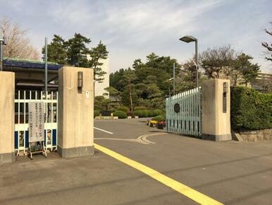 私立相模女子大学短期大学部