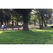 公園