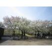 公園