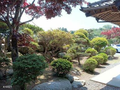 純日本のお庭で四季折々の景色を楽しむことが出来ます。