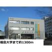 大学
