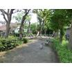 公園