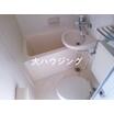 バス/シャワー