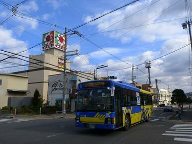 イズミヤ古市店