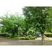 公園