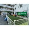 幼稚園、保育園