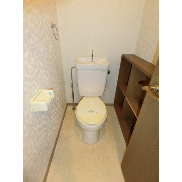 トイレに大きめの収納スペースあります。