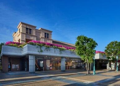 東急スクエアガーデンサイト