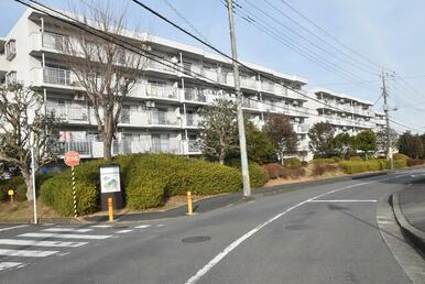 日照良好。閑静な住宅地。緑豊かな住環境。