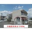 幼稚園、保育園