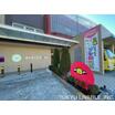 幼稚園、保育園