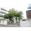 中学校