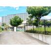 幼稚園、保育園