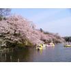 公園