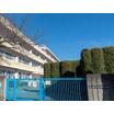 小学校