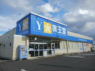 薬王堂水沢町屋敷店