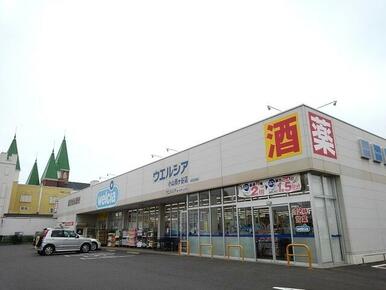 ウエルシア小山雨ヶ谷店