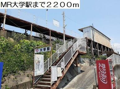 大学駅