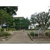 公園