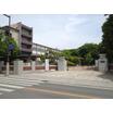 大学