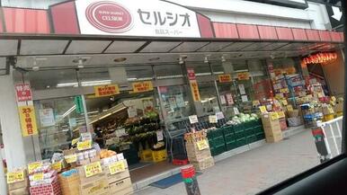 セルシオ 和田町店
