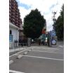 幼稚園、保育園