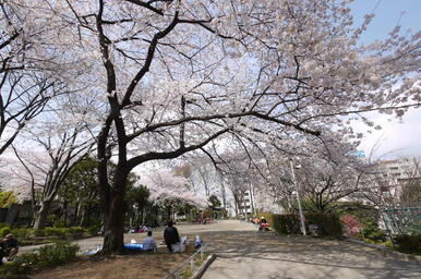 礫川公園