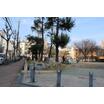 公園