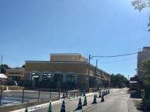 ひかりこども園