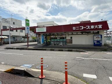 ミニコープ東大宮店