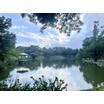 公園