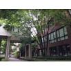 大学