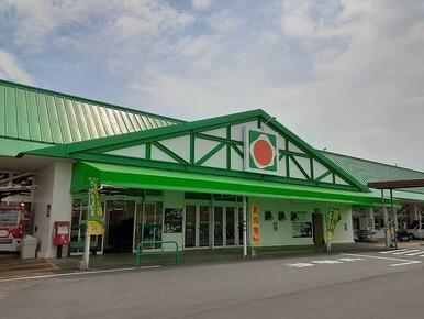 サンキュー隼人店
