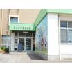 幼稚園、保育園