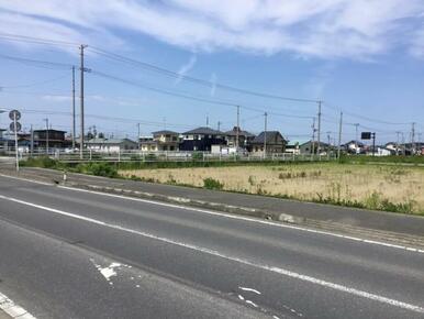 南西側から北に向かって撮影