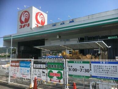 コメリハード&グリーン富士川店