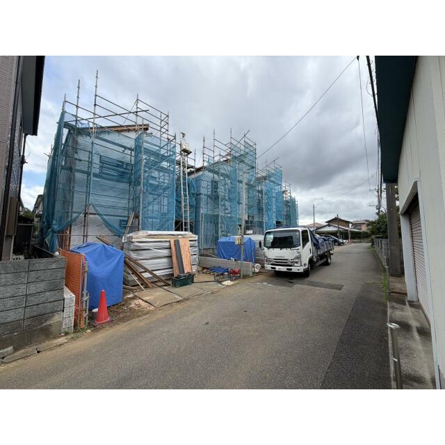7月中旬撮影