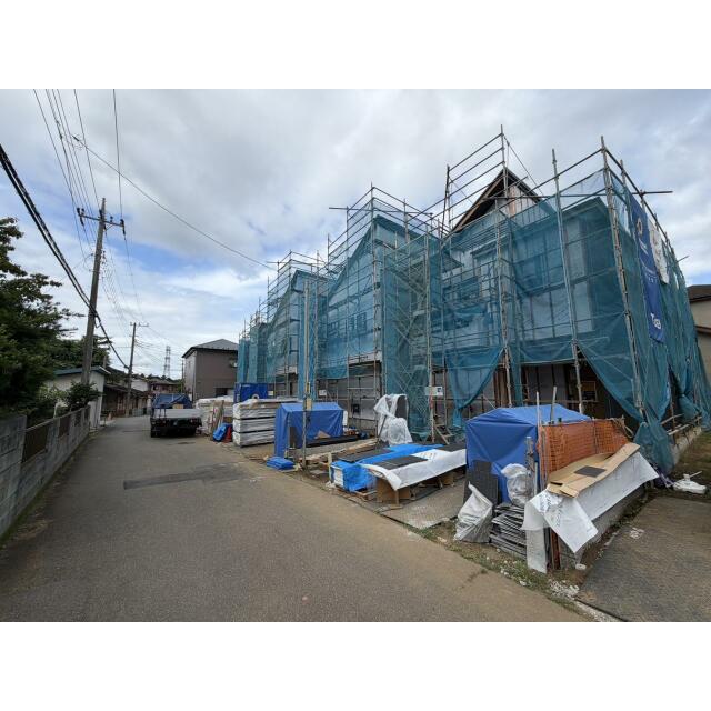 7月中旬撮影